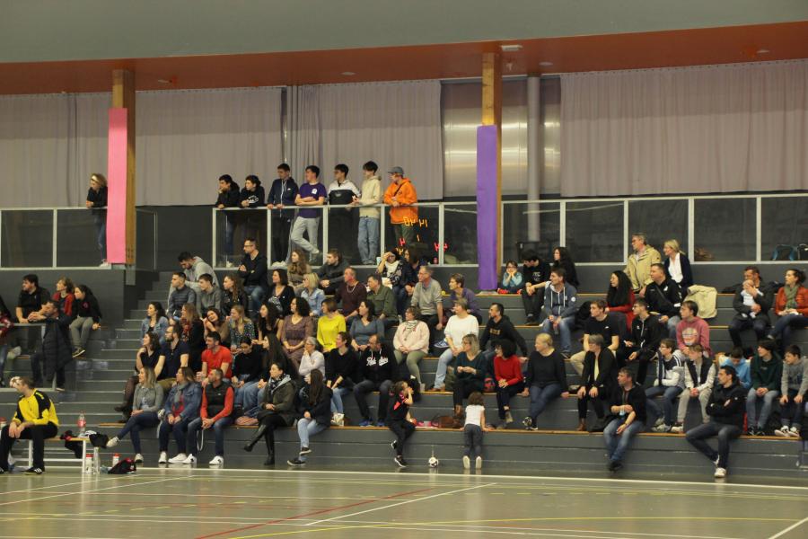 IMG_0350_modif-compressed